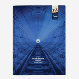 Silver Award in LACP’S Annual Report Competition, The 2019 Vision Award